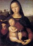 RAFFAELLO Sanzio Solly Madonna oil